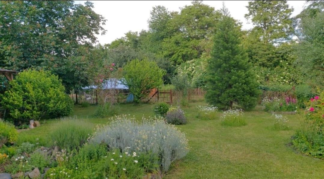 Orangerie Zimmer Gehaichnishof 7Born Maring-Noviand Zewnętrze zdjęcie